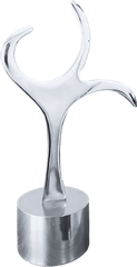 afaqs! Foxglove Awards 2026 silver trophy